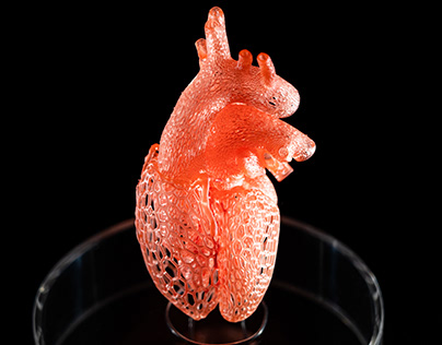 3D Bio-print Heart