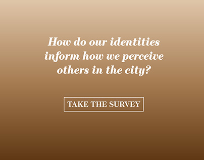 Identity Survey Design