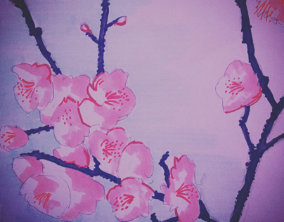 Drawing - wild cherry blossoms