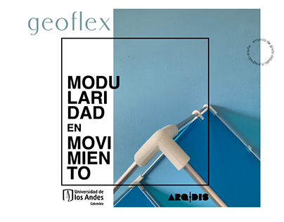DISE 3199 | GeoFlex