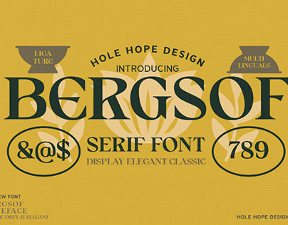 Bergsof | Elegant Classic Font