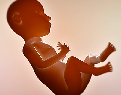 3D Fetus Model