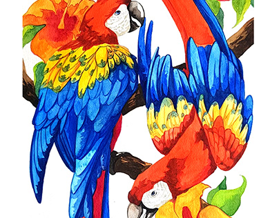 Macaws with Tropical Flowers