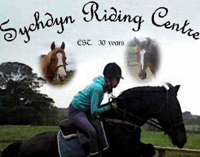 Poster for riding stables 2