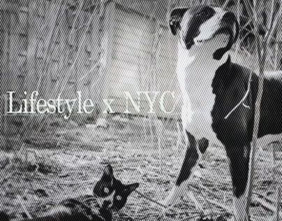 Lifestyle x NYC