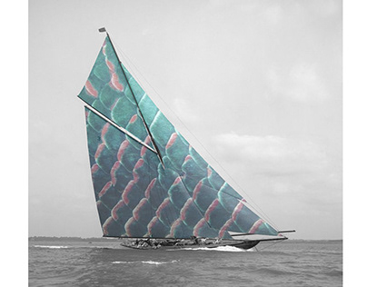 Sail illustration