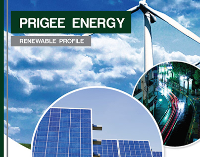 Prigee Energy - Company Profile