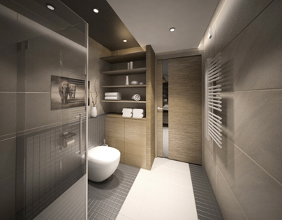 bathroom interior design modern and minimalist