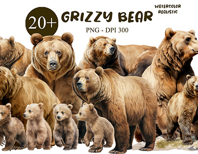 Grizzly bear watercolor realistic clipart PNG