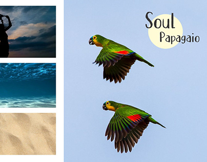 Pousada "Soul Papagaio"
