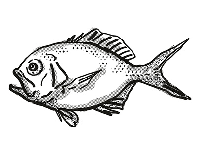 Yelloweye Redfish Australian Fish Cartoon Retro Drawing