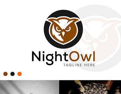 NightOwl Logo Design