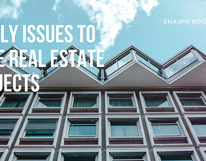Likely Issues to Face Real Estate Projects