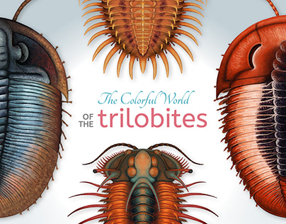 The Colorful World of the Trilobites