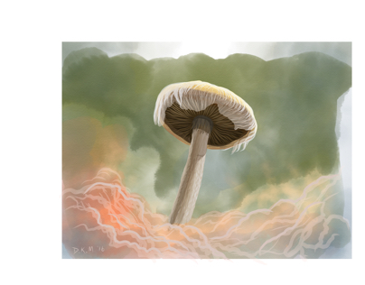 Project thumbnail - Mushroom