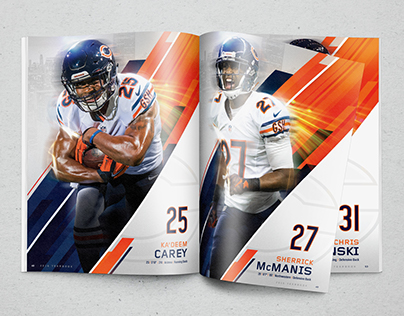 2016 Chicago Bears Yearbook
