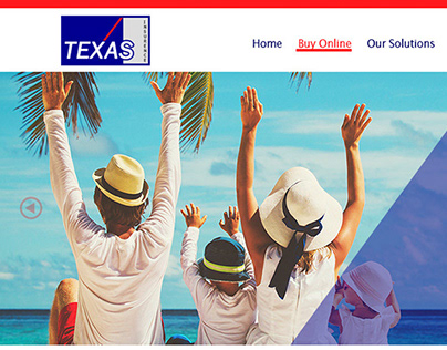 Texas Insurence Ltd