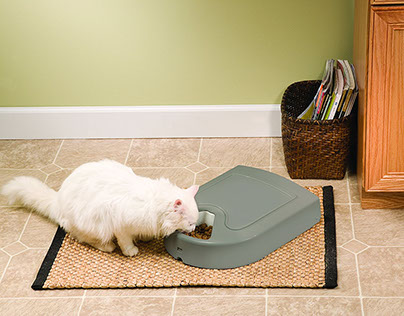 Best Automatic Cat Feeders of 2017