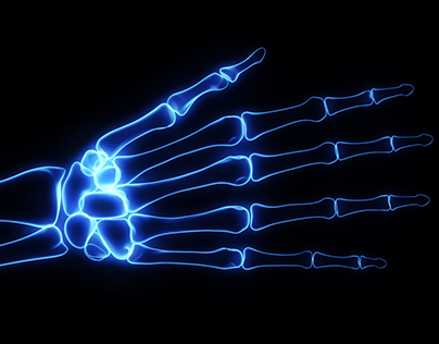 Bones X-Ray of Human Hand