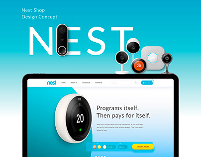 Design concept for NEST shop. Redesign website