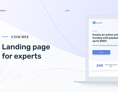 Landing page for experts