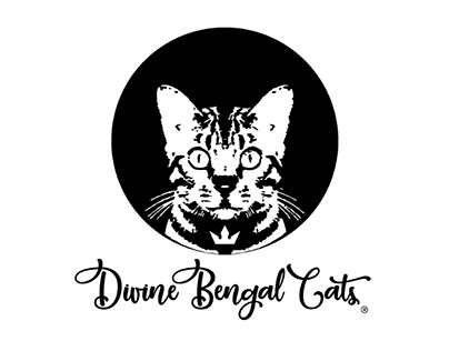 Divine Bengal Cats