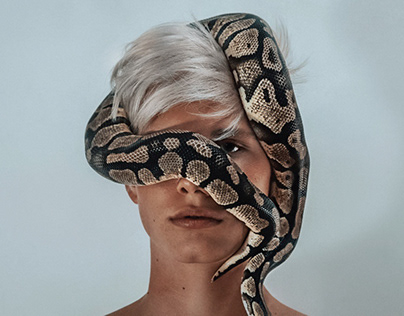 The boy and the snake