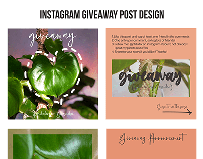 Instagram Plant Giveaway