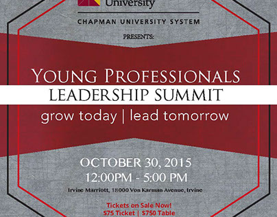 Young Professional Leadership Summitt