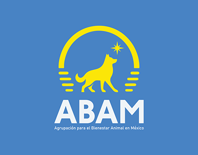 Capstone Project: ABAM