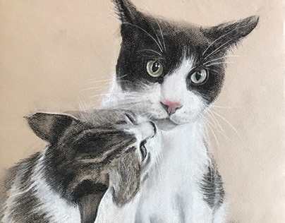 Cat Charcoal Portrait Drawing.