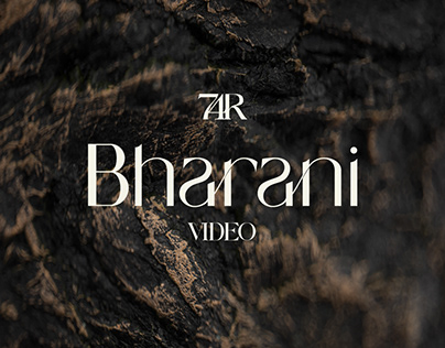 Project thumbnail - 74 Robots - Bharani