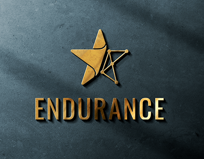 Endurance Blockchain Logo Design