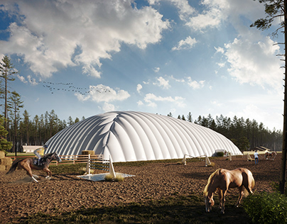 Air dome, equestrian facility