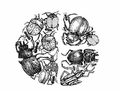 MILKA FONT- Insects,  Ποσειδών, Жабок