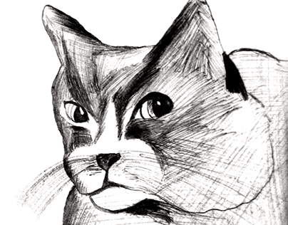 Feline Portrait