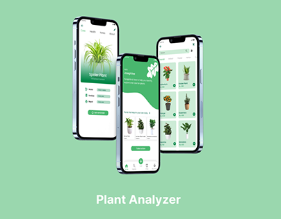 Plant Analyzer