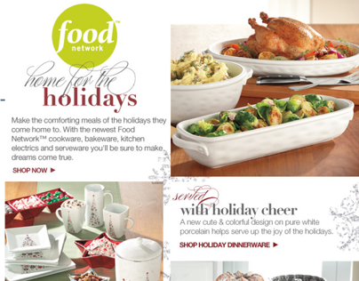 Home for the Holidays - Brand Email (Nov. '12)