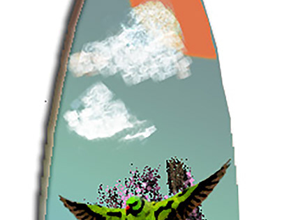 Surboard/Skateboard Design