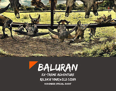 Baluran National Park Travel Package Design
