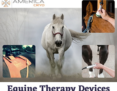 Equine Therapy Devices