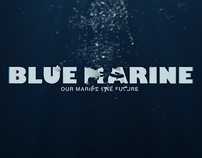 Blue Marine - Game Design