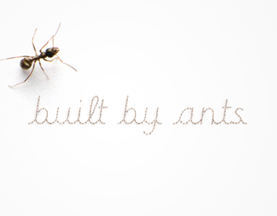 Built By Ants Font