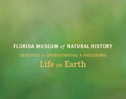 Life on Earth Brochure Design, Florida Museum