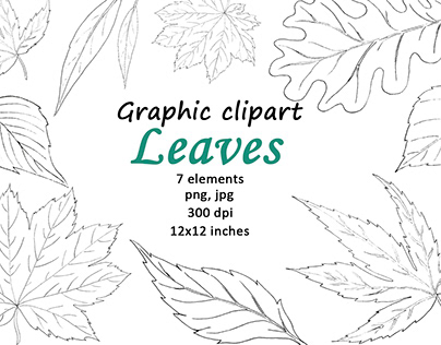 Leaves Graphic Clipart Coloring Book PNG