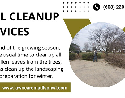Fall Cleanup Services | A+ Lawn Care