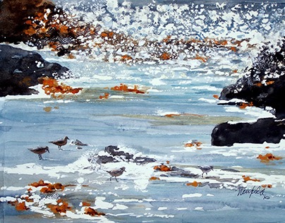 Bodega Sandpipers Watercolor