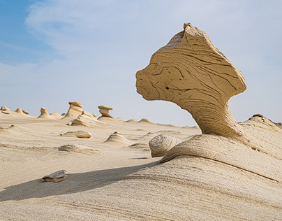 Al Wathba Fossil Dunes, Abu Dhabi, United Arab Emirates
