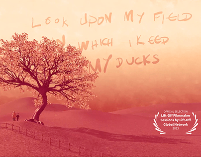 Field of Ducks