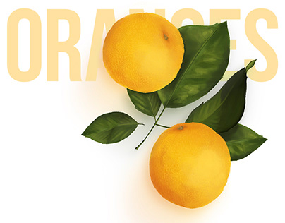Oranges Illustration